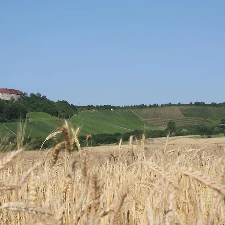 Apartmán Schwarzer Adler - Storchennest Ipsheim