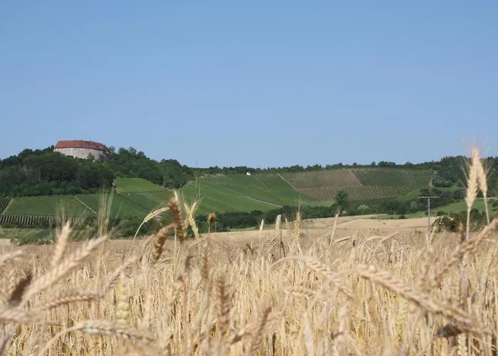 Apartmán Schwarzer Adler - Storchennest Ipsheim